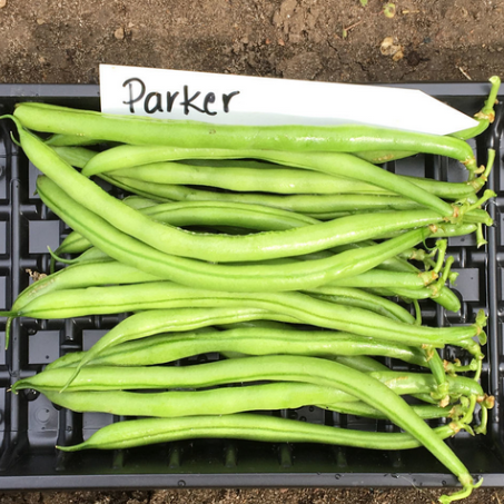 Parker