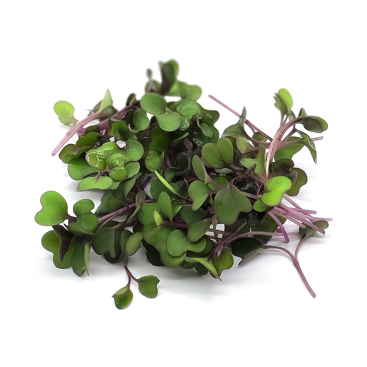 Kålrabbi Delicacy Purple