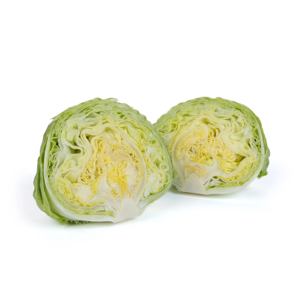 Isbergssallat Balokanas RZ Knox ™