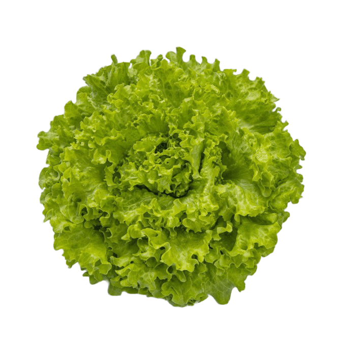 Bataviasallat Oceanis