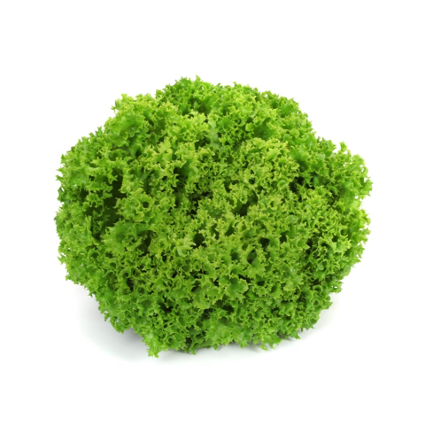 Lollo bionda Linaro RZ
