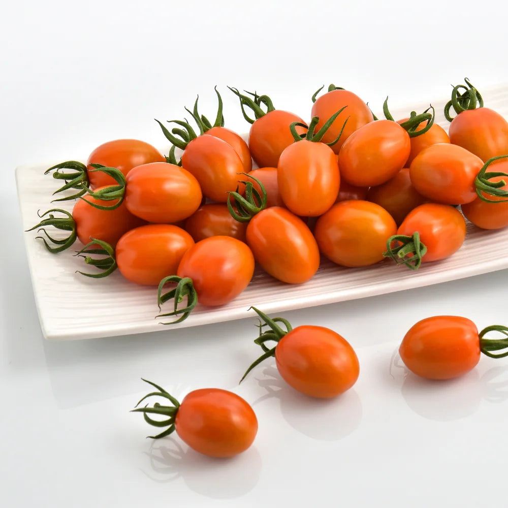 Razolo HF1
