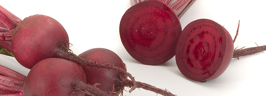 Rödbeta Babybeat RZ F1