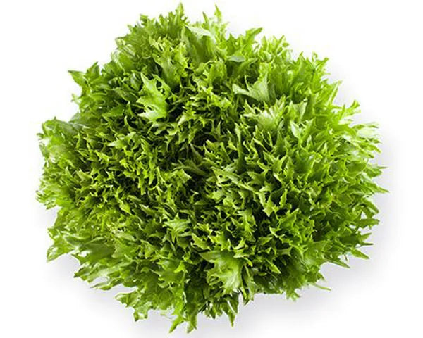 Salanova® Krisp