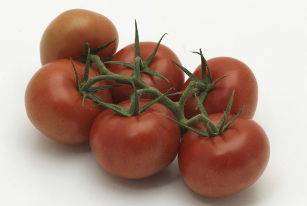 Tomat Premium - Standardtomat