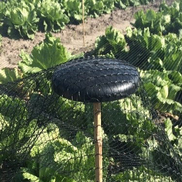 Nätstöd av plast
