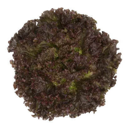 Bataviasallat Mineral RZ - EKO