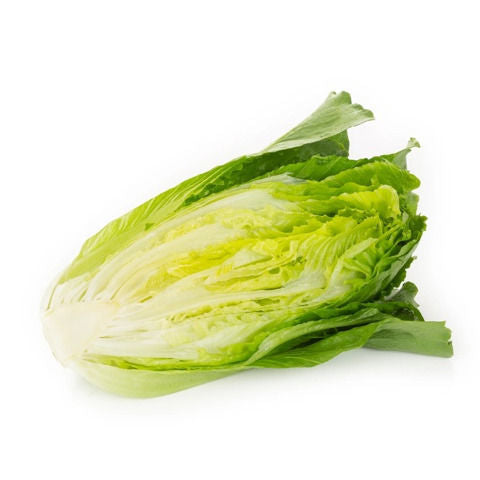 Crunchita Lettuce Galactita RZ
