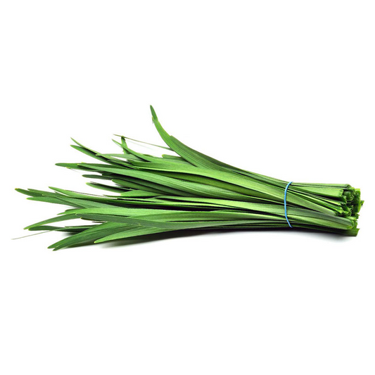 Chives Shiva, Chinese
