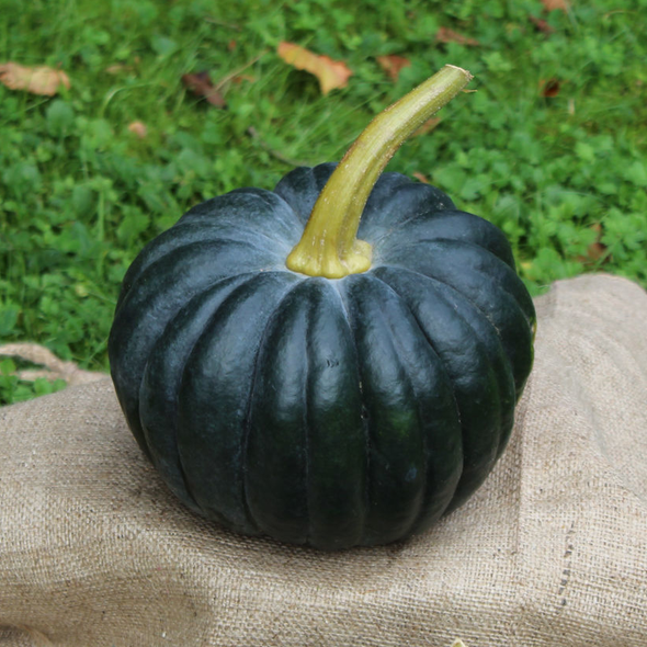 Black Futsu