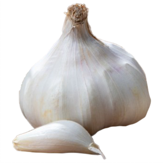 Vitlök Rustisem