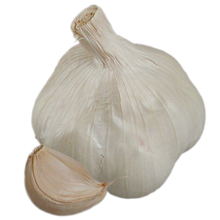 Vitlök Messidrôme