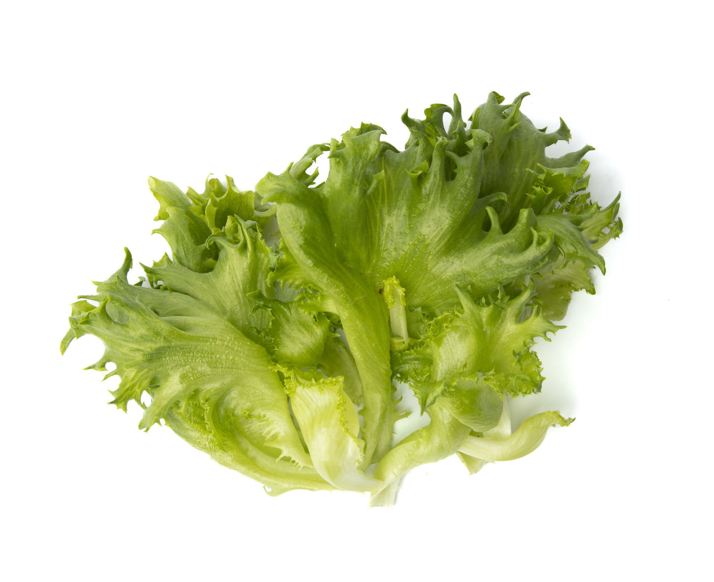 Krispsallat Finstar