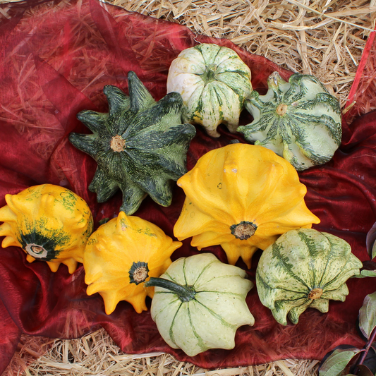 Skenut Crown of Thorns