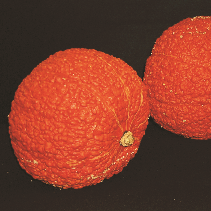 Red Warty Thing