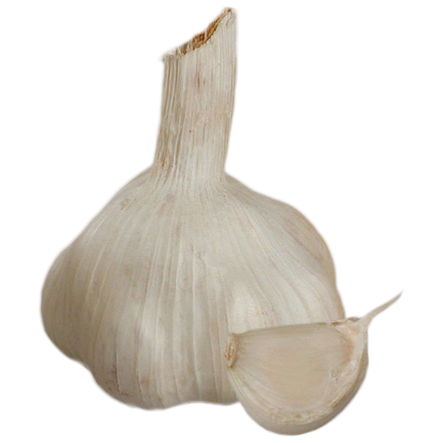 Vitlök Sabadrôme