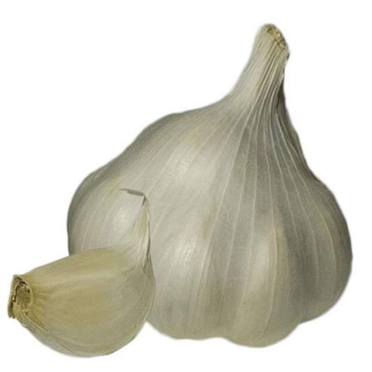 Vitlök Sabagold