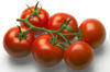 Picture of Tomat Mecano RZ F1, ekologiskt odlat frö GSPP