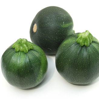 Picture of Squash Eight Ball F1