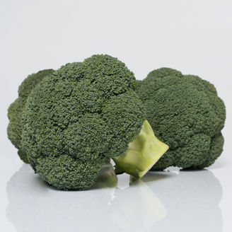 Picture of Broccoli Covina F1, ekologiskt odlat frö