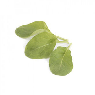 Picture of Rucola Sparkle RZ