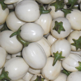Picture of Aubergine White Egg