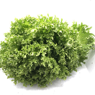 Picture of Krispsallat Yumice