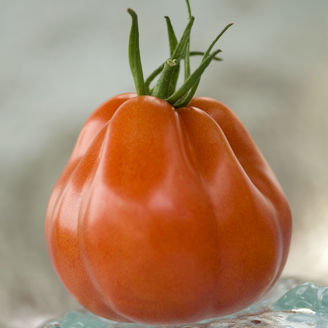 Picture of Tomat Borsalina, Ekologiskt odlat frö GSPP