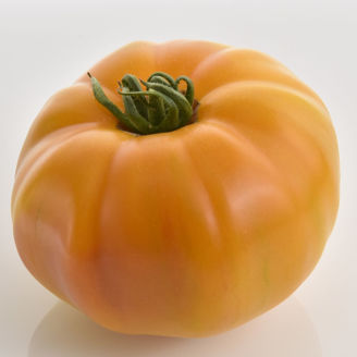 Picture of Tomat Margold, Ekologiskt odlat frö GSPP