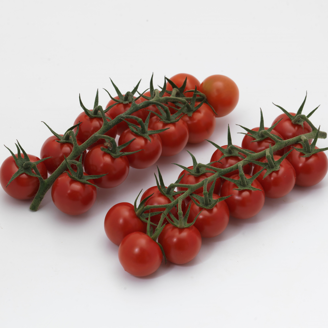 Picture of Tomat Rovino F1 GSPP