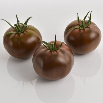 Picture of Tomat Kakao ekologiskt GSPP