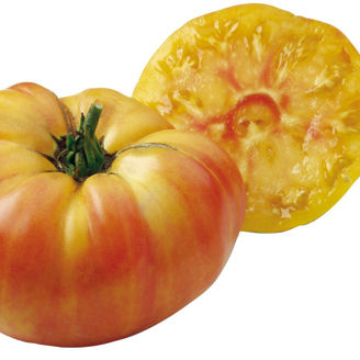 Picture of Tomat Ananas Ekologiskt odlat frö