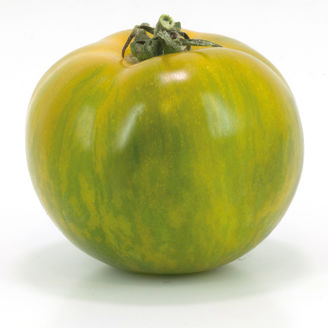 Picture of Tomat Green Zebra ekologiskt odlat frö