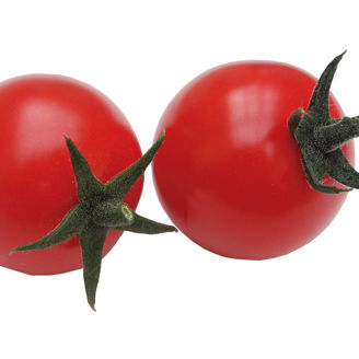Picture of Tomat  Ready F1 ekologiskt odlat frö