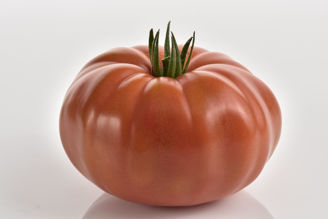Picture of Tomat Marsilia, Ekologiskt odlat frö GSPP