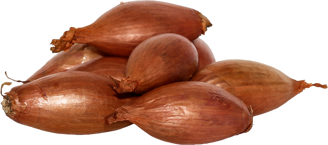 media.product.imagealternatetextformat.details