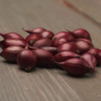Picture of Röd lök Red Baron - EKO SLUTSÅLD