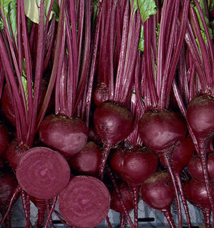 Picture of Rödbeta Red Titan F1