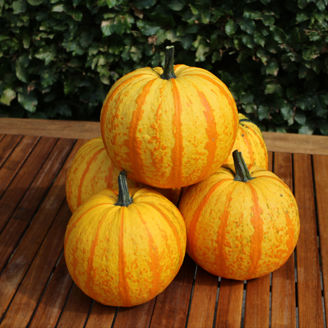 Picture of Halloweenpumpa Fireball F1