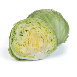 Picture of Isbergssallat Balokanas RZ Knox ™