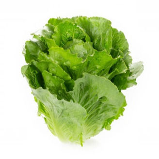 Picture of Crunchitasallat Galactita RZ