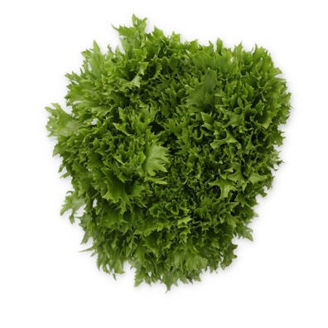 Picture of Krispsalanova Exabreeze RZ Knox ™