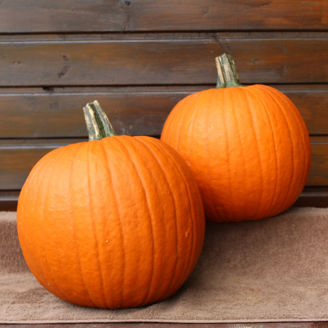 Picture of Halloweenpumpa Eros F1